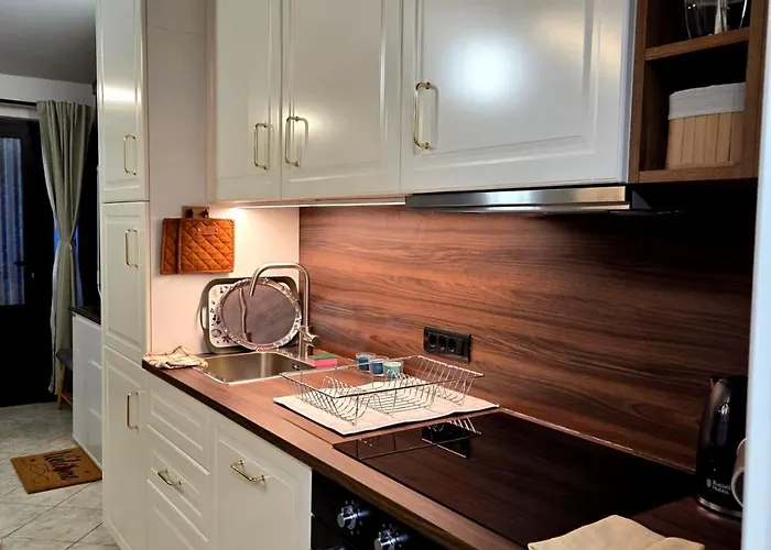 Lägenhet Palmira Rijeka