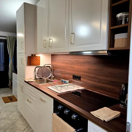 Apartment Palmira Rijeka